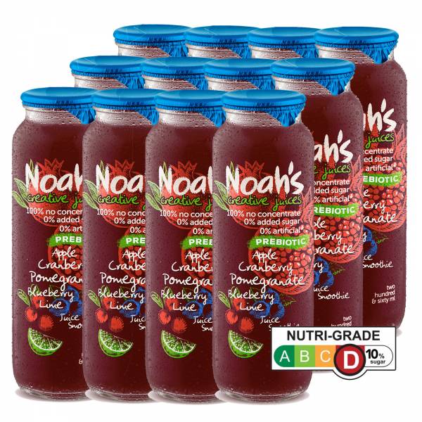 Noah's Apple Cranberry Pomegranate Blueberry Lime Juice Smoothie, 260 ml - Case
