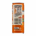 Remedy Switchel Blood Orange, 250 ml - Case