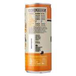 Remedy Organic Kombucha Ginger & Lemon, 250 ml - Case