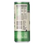 Remedy Organic Kombucha Lemon Lime Mint, 250ml - Case