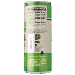 Remedy Organic Kombucha Apple Crisps, 250ml - Case