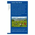 Traditional Medicinals Organic Nighty Night, 24.09g