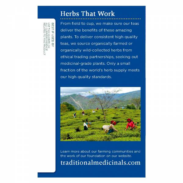 Traditional Medicinals Organic Nighty Night, 24.09g