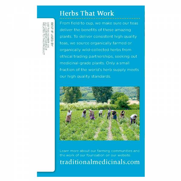 Traditional Medicinals Organic Everyday Detox, 24.09g