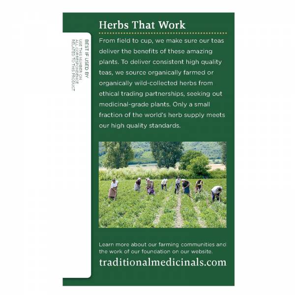 Traditional Medicinals Organic Nettle Leaf, 24.09g