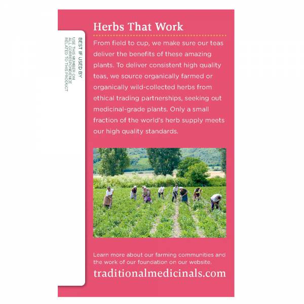 Traditional Medicinals Organic Pregnancy Tea, 28.66g