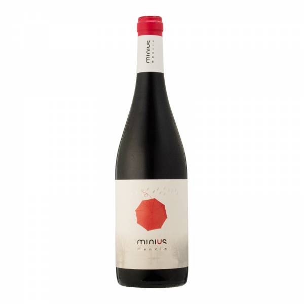 Valminor Minius Mencia D.O Monterrei Red Wine, 750 ml